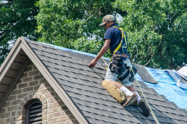 Best Gutter Installation and Roofing  in Edison, GA