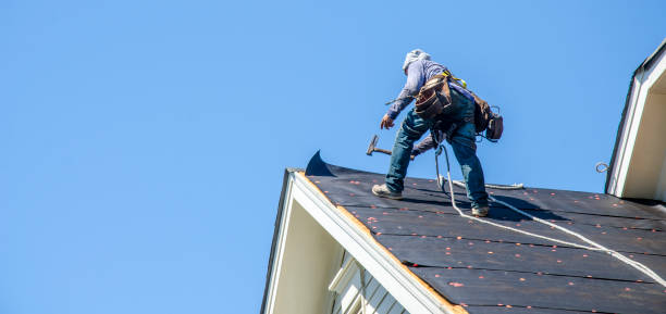 Best Metal Roofing Contractor  in Edison, GA
